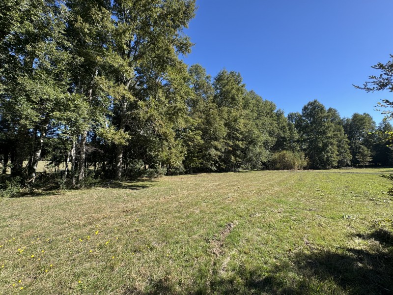 1Km. de Villarrica Por Ruta Segunda Faja Camino A Pucón