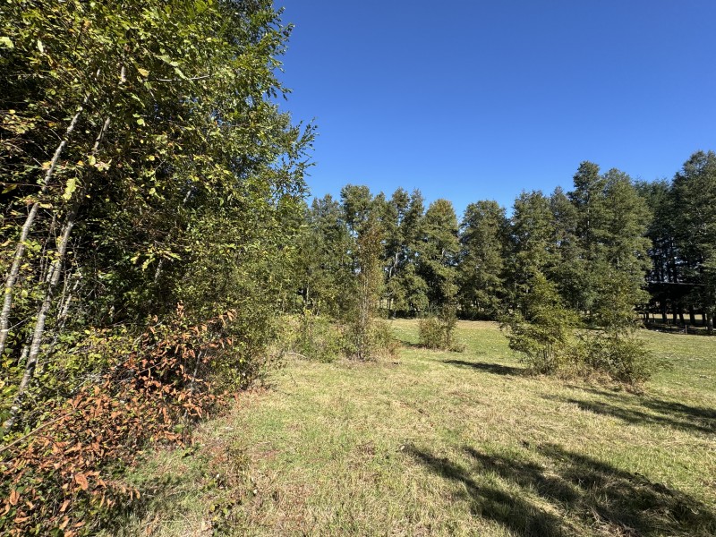 1Km. de Villarrica Por Ruta Segunda Faja Camino A Pucón