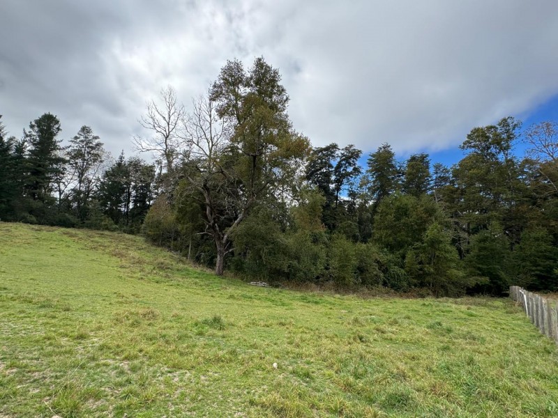 Parcela A 10 Minutos de Villarrica Con Electricidad y Agua.