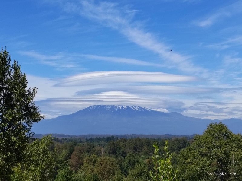 12 Km Vrica . Loft Parcela – Ruta S-65 Ñancul - Pitrufquén