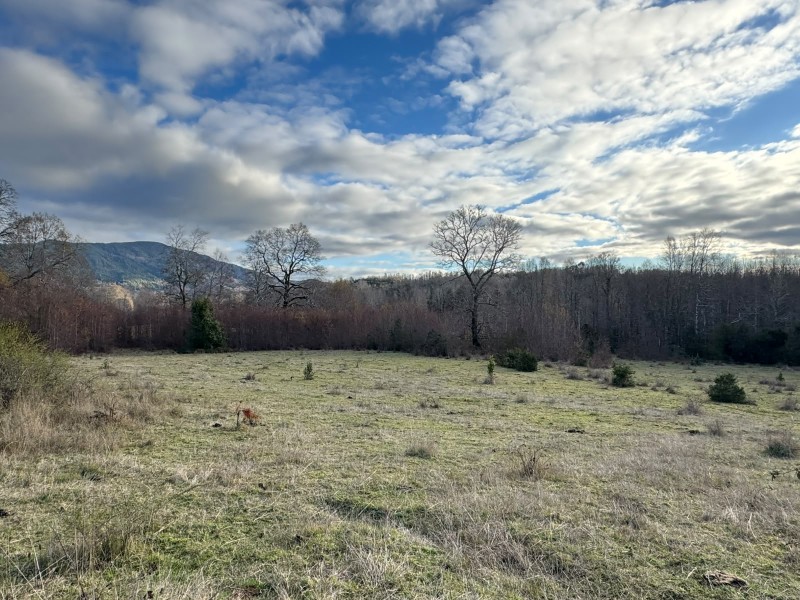 Fotografía de Parcela A 20 Minutos de Villarrica - Sector Liumalla