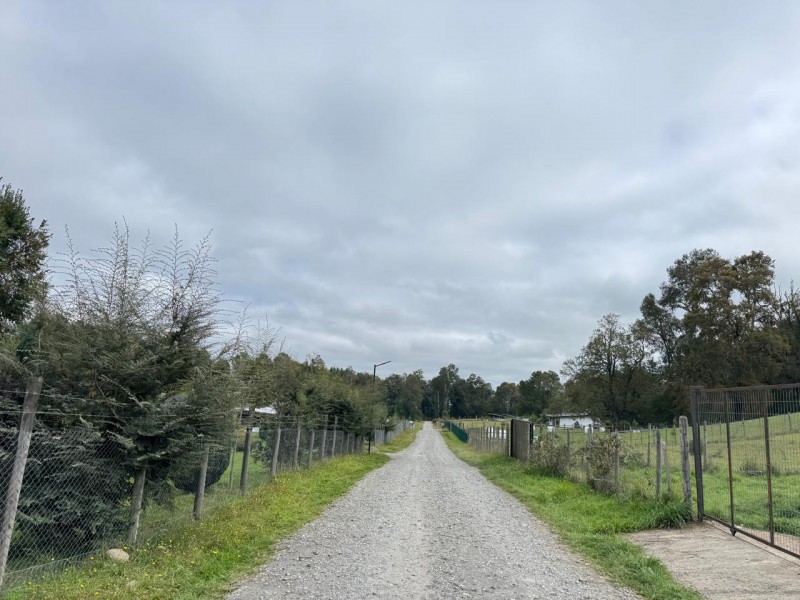 Parcela A 10 Minutos de Villarrica Con Electricidad y Agua.