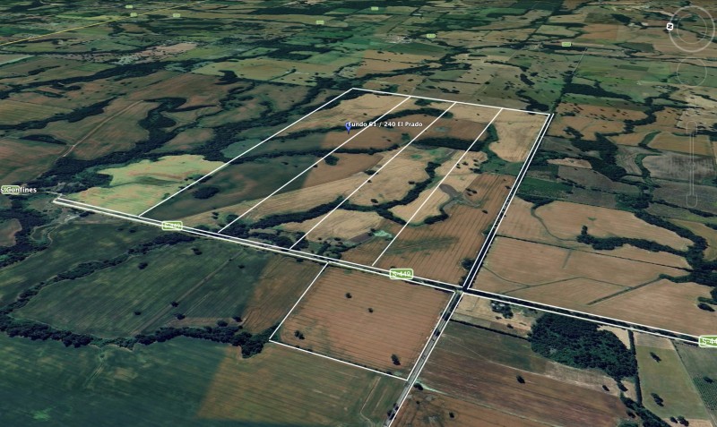 240 Hectáreas 25 Km. de Temuco Sector Huichahue Camino Cunco