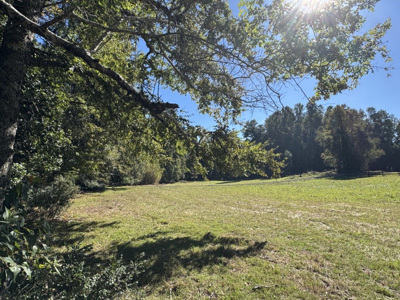 1Km. de Villarrica Por Ruta Segunda Faja Camino A Pucón