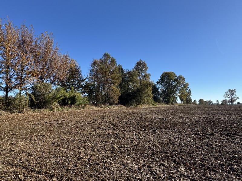 61 Hectáreas 25 Km. de Temuco Sector Huichahue San Ramón