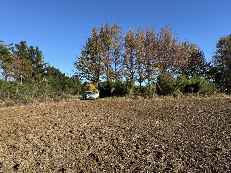 240 Hectáreas 25 Km. de Temuco Sector Huichahue San Ramón