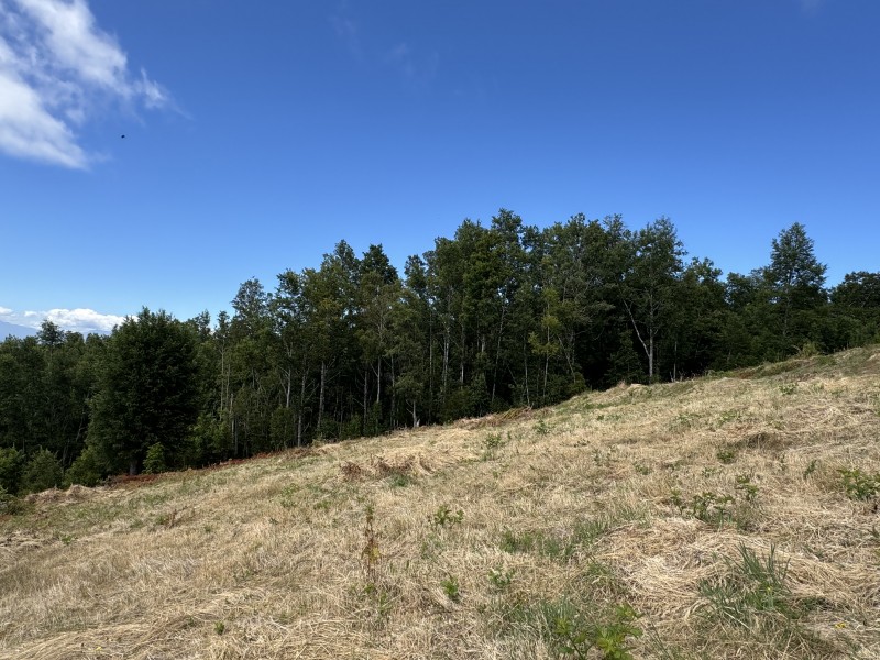 14 Km de Villarrica Vista Lago y Volcán Condominio Pedregoso