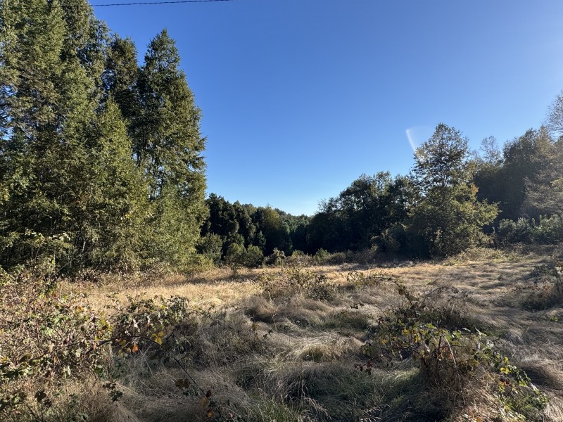 4 Hectáreas 5,5 Km Villarrica Camino Licán 1Km de Ripio