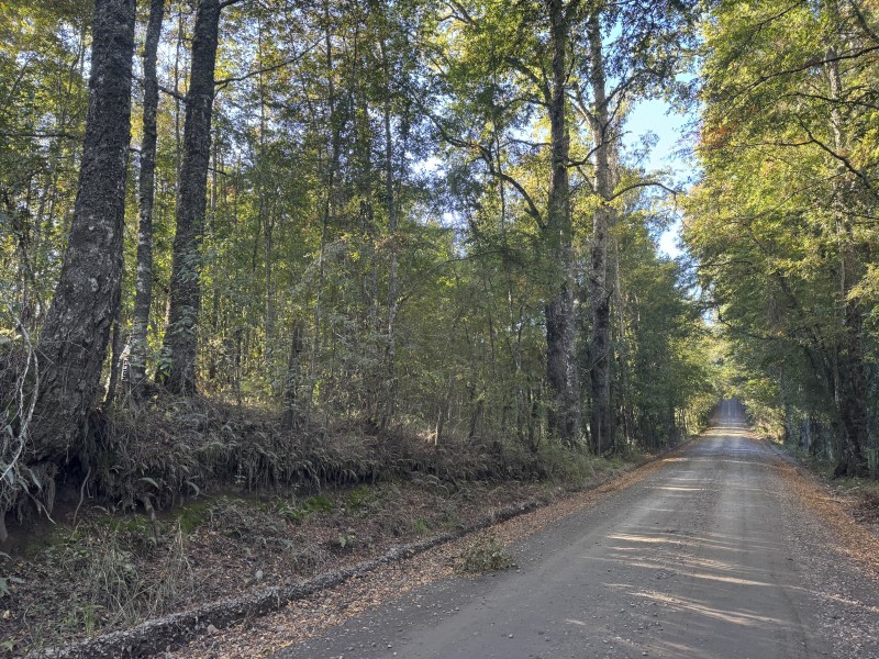 4 Hectáreas 5,5 Km Villarrica Camino Licán 1Km de Ripio