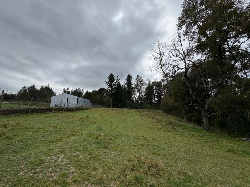 Parcela A 10 Minutos de Villarrica Con Electricidad y Agua.