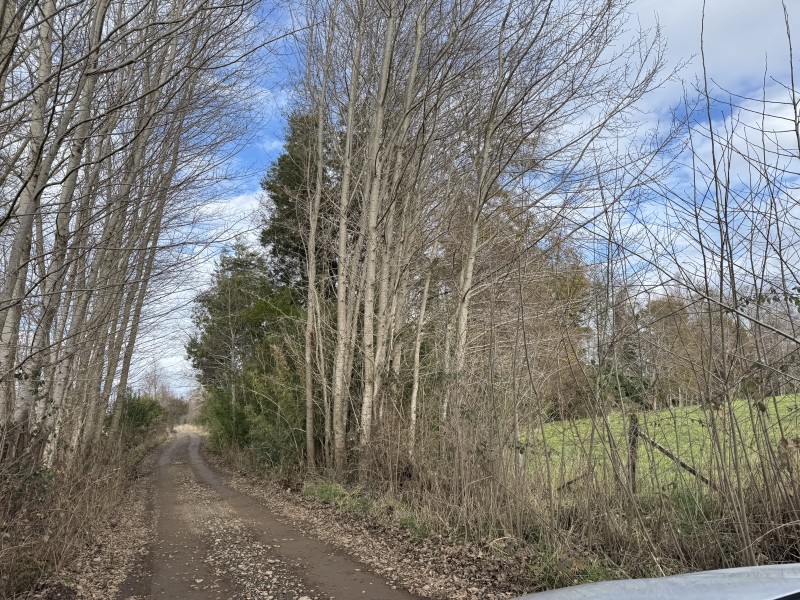 21 Km. de Villarrica Casa en Parcela 7 Faja Huiscapi