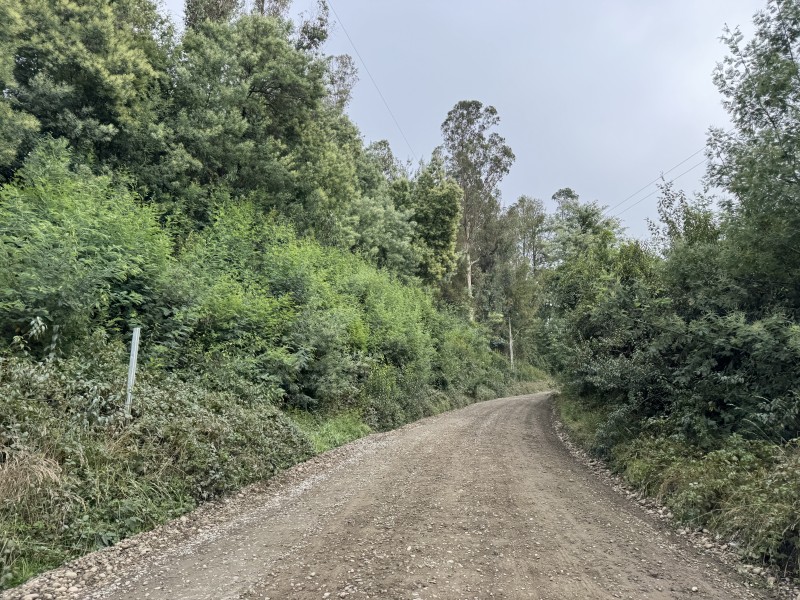 Campo de 23,7 Hectáreas Loncoche, Sector la Paz