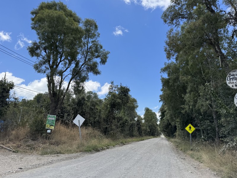 5 Km Licán Ray 10.000M2 Orilla Camino Pino Huacho 200 M Ruta