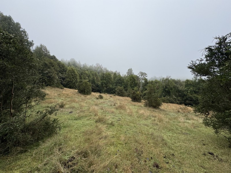 Campo de 23,7 Hectáreas Loncoche, Sector la Paz