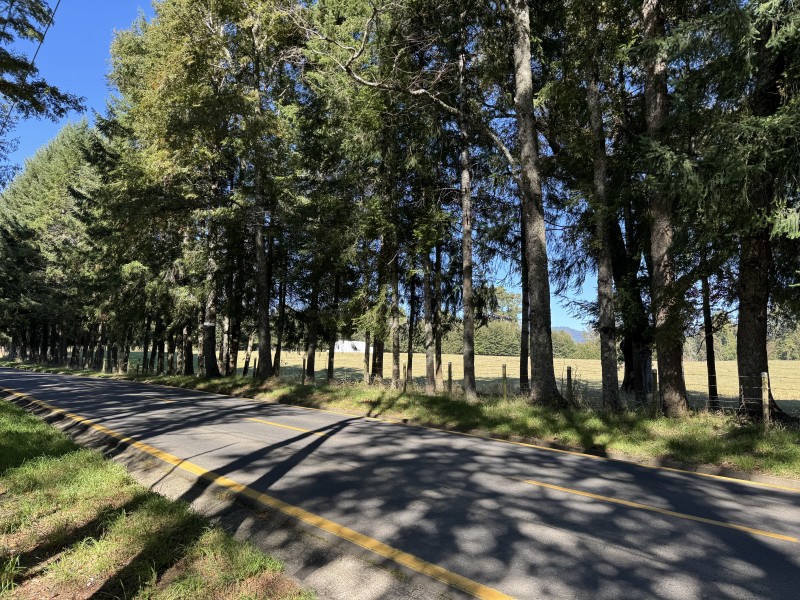 1Km. de Villarrica Por Ruta Segunda Faja Camino A Pucón
