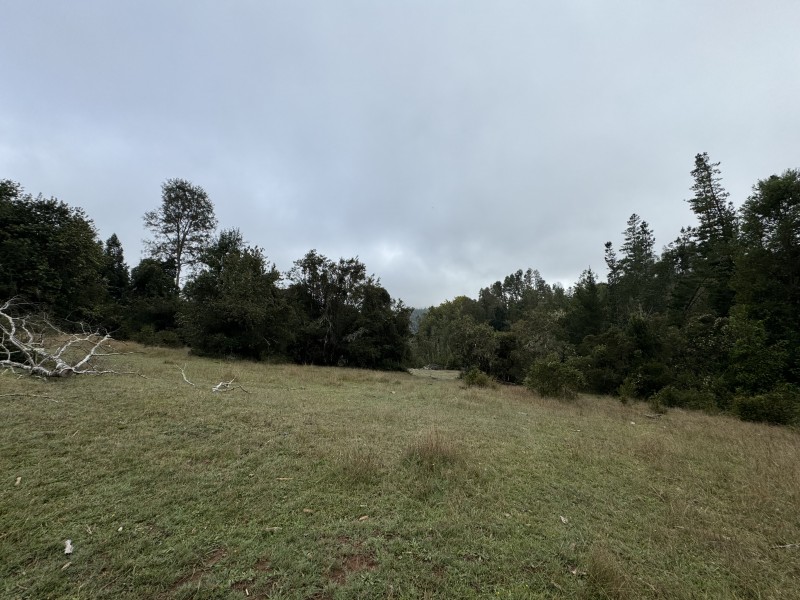 Campo de 23,7 Hectáreas Loncoche, Sector la Paz
