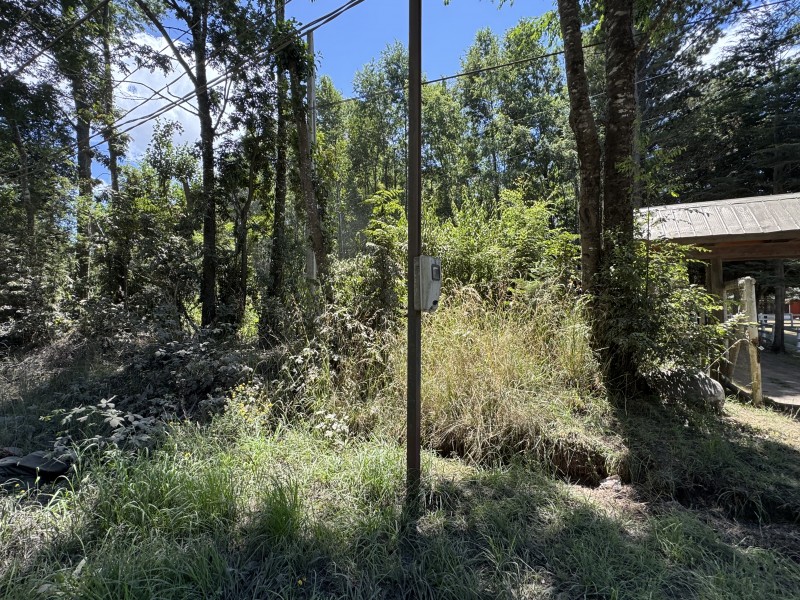 5 Km Licán Ray 10.000M2 Orilla Camino Pino Huacho 200 M Ruta
