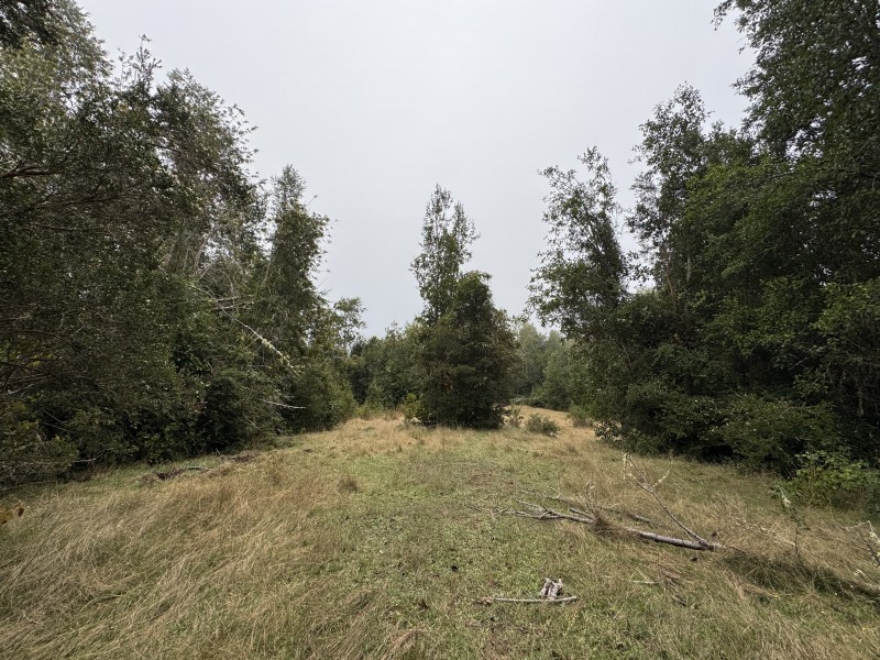 Campo de 23,7 Hectáreas Loncoche, Sector la Paz