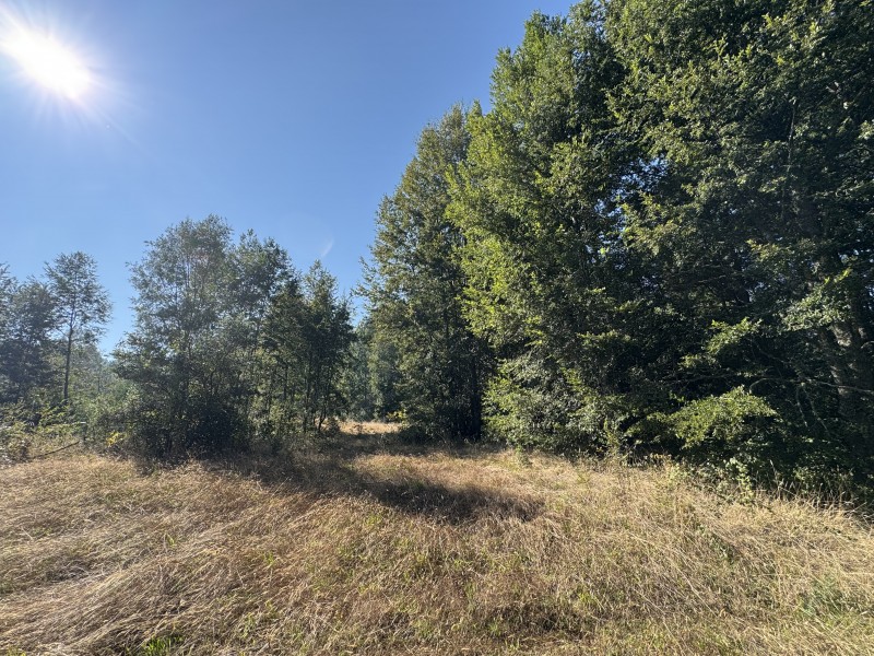 5,5 Km de Villarrica, Sector Collico Camino Licán Ray