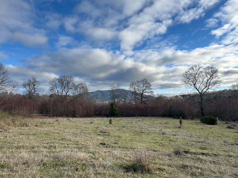 Parcela A 20 Minutos de Villarrica - Sector Liumalla