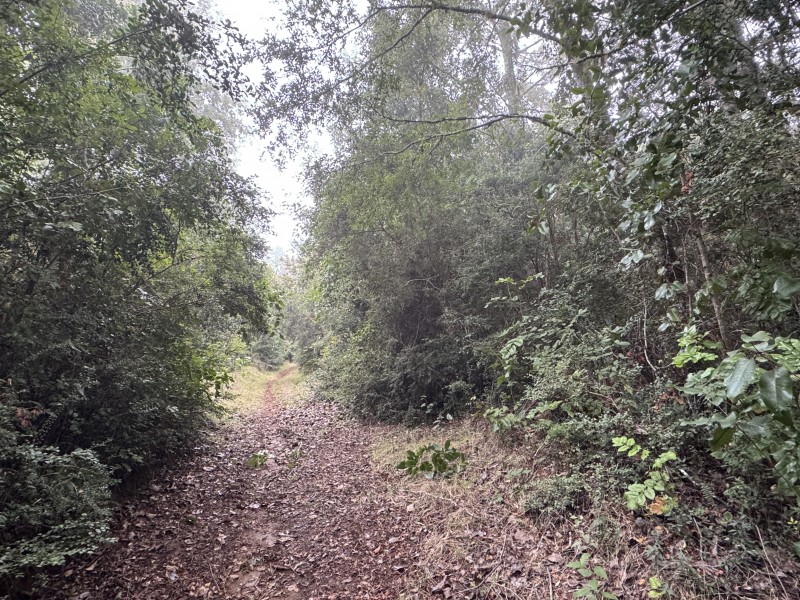 Campo de 23,7 Hectáreas Loncoche, Sector la Paz