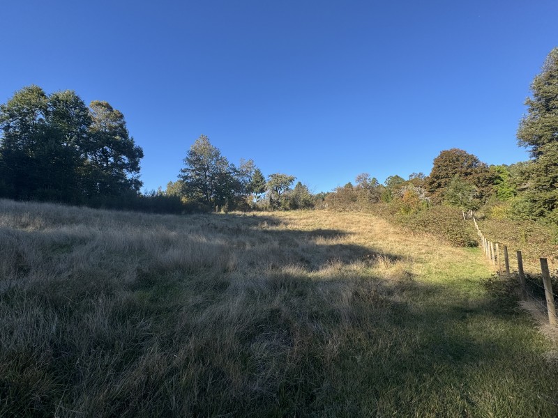 4 Hectáreas 5,5 Km Villarrica Camino Licán 1Km de Ripio