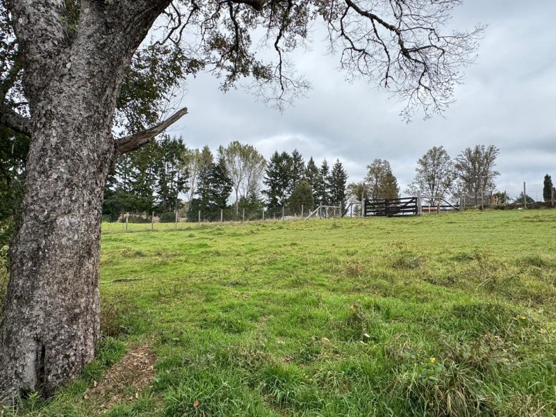 Parcela A 10 Minutos de Villarrica Con Electricidad y Agua.