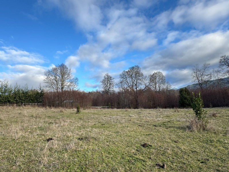 Parcela A 20 Minutos de Villarrica - Sector Liumalla