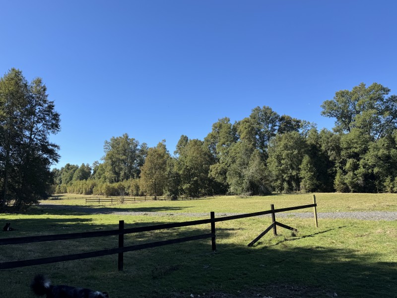 1Km. de Villarrica Por Ruta Segunda Faja Camino A Pucón
