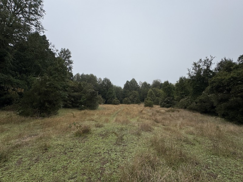 Campo de 23,7 Hectáreas Loncoche, Sector la Paz