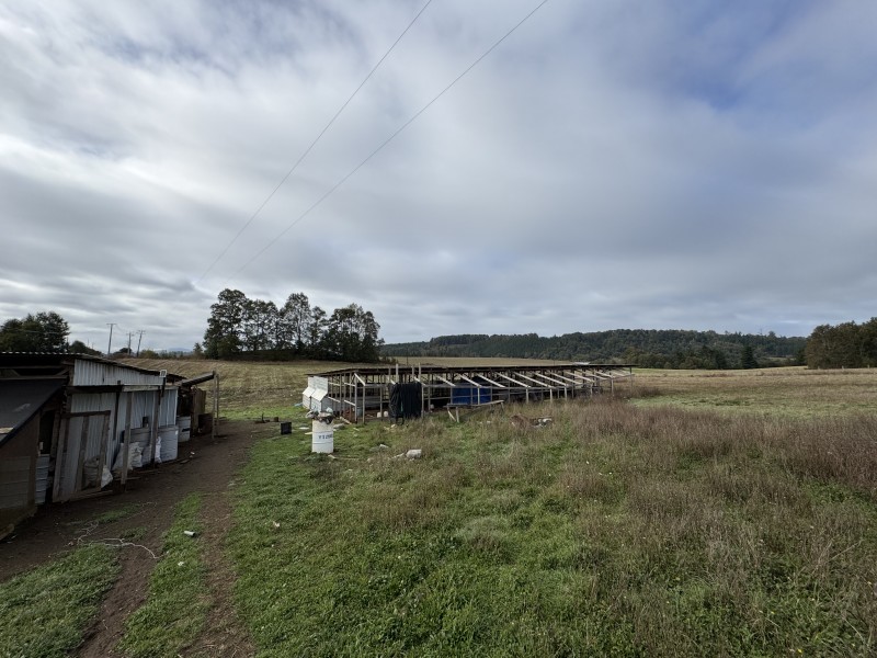 27 Km de Villarrica - Freire Parcela Productiva 3.1 Hás