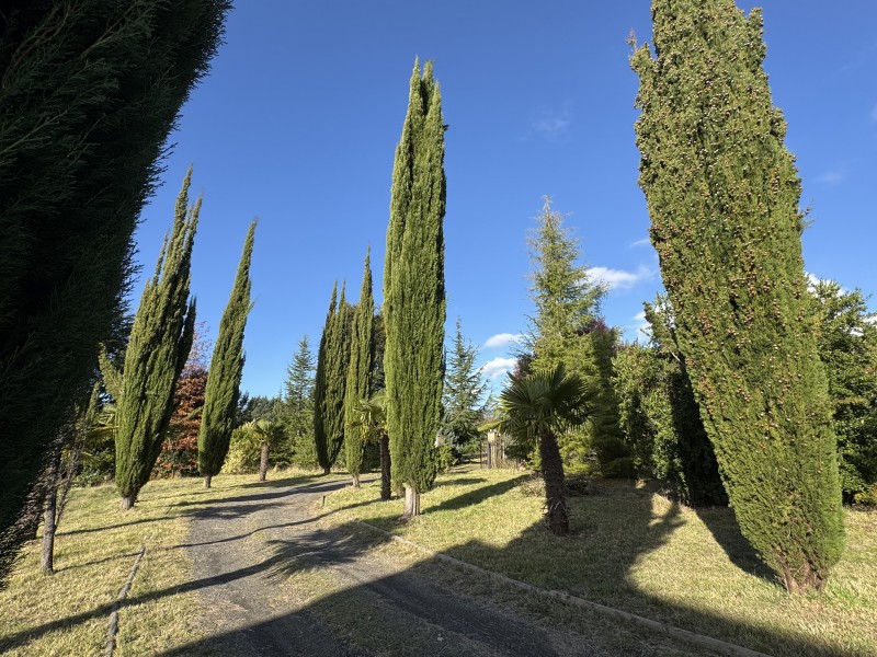 4 Km Pucón - Villarrica, 600 Metros de la Ruta Principal 8