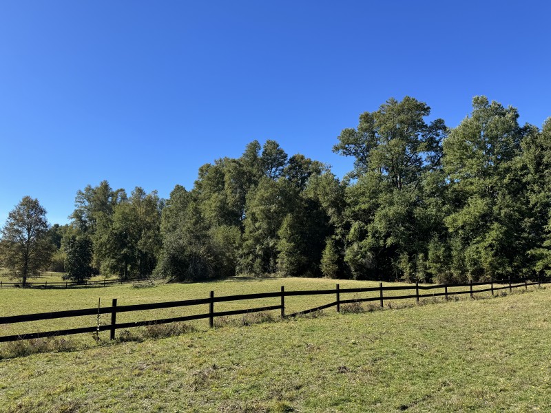 1Km. de Villarrica Por Ruta Segunda Faja Camino A Pucón