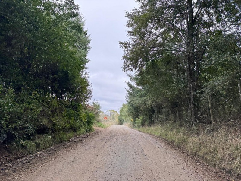 Parcela A 10 Minutos de Villarrica Con Electricidad y Agua.