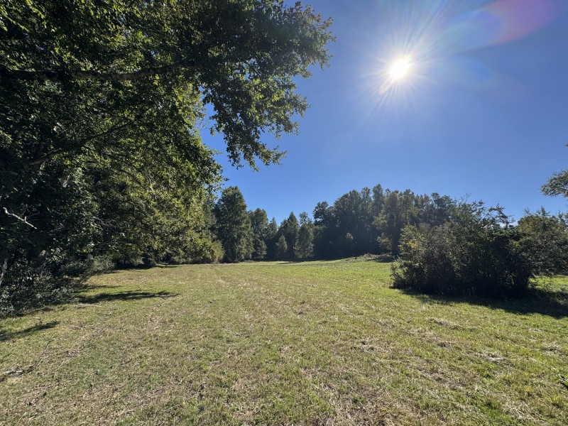 1Km. de Villarrica Por Ruta Segunda Faja Camino A Pucón