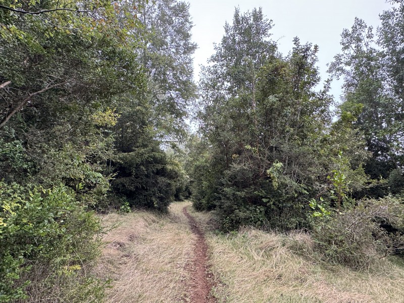 Campo de 23,7 Hectáreas Loncoche, Sector la Paz