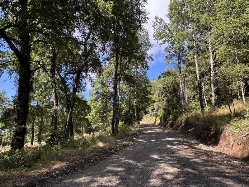 14 Km de Villarrica Vista Lago y Volcán Condominio Pedregoso