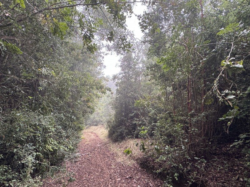 Campo de 23,7 Hectáreas Loncoche, Sector la Paz