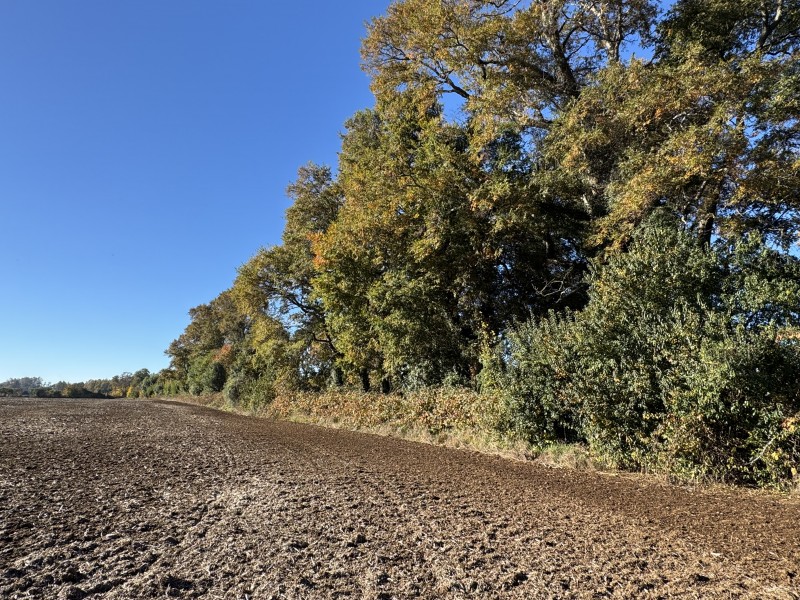 240 Hectáreas 25 Km. de Temuco Sector Huichahue San Ramón