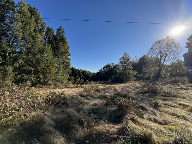 4 Hectáreas 5,5 Km Villarrica Camino Licán 1Km de Ripio