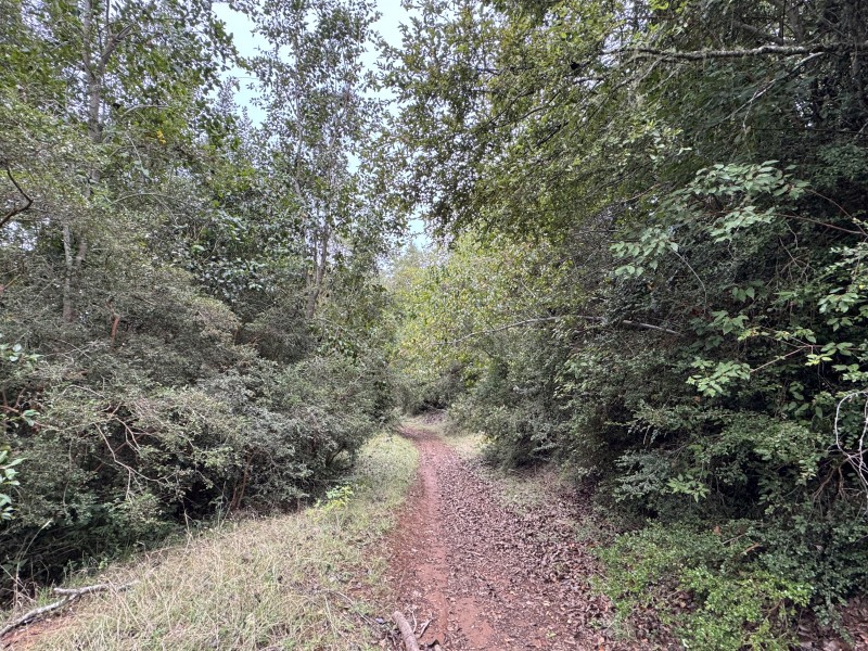 Campo de 23,7 Hectáreas Loncoche, Sector la Paz
