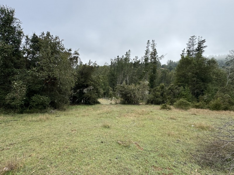 Campo de 23,7 Hectáreas Loncoche, Sector la Paz