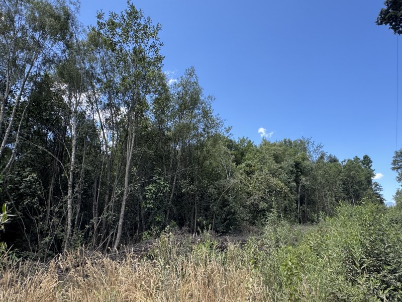 5 Km Licán Ray 10.000M2 Orilla Camino Pino Huacho 200 M Ruta