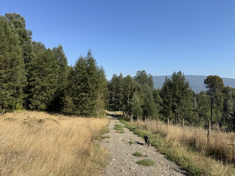 5,5 Km de Villarrica, Sector Collico Camino Licán Ray