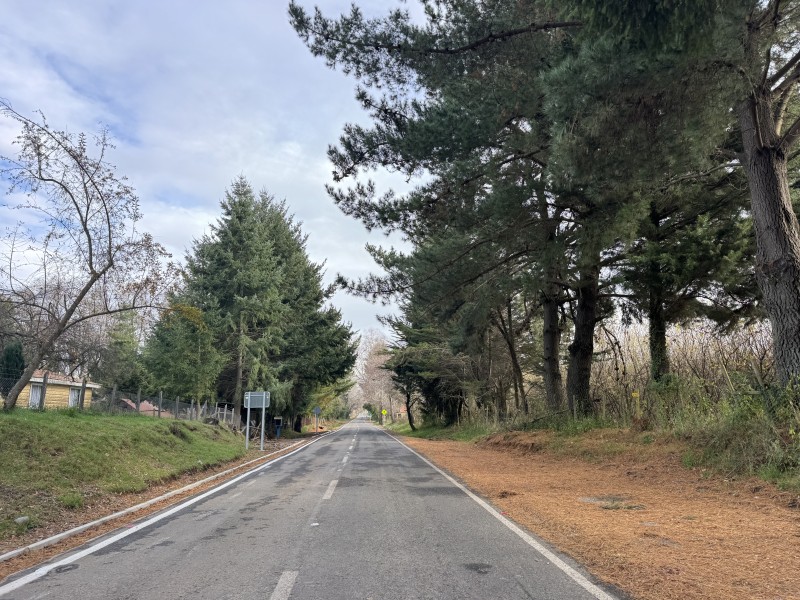 21 Km. de Villarrica Casa en Parcela 7 Faja Huiscapi