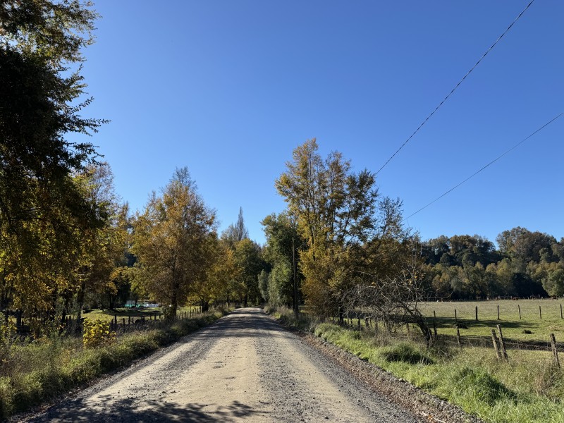 61 Hectáreas 25 Km. de Temuco Sector Huichahue San Ramón