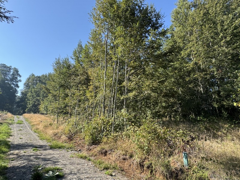 5,5 Km de Villarrica, Sector Collico Camino Licán Ray