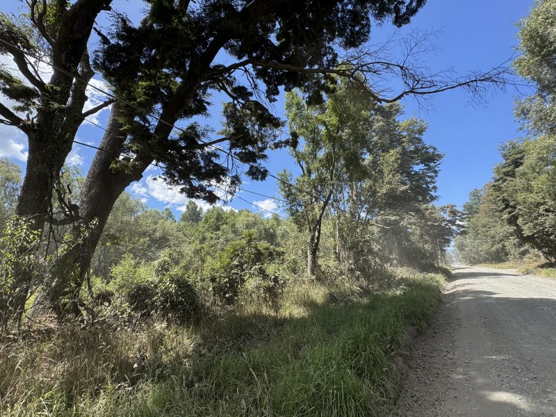 5 Km Licán Ray 10.000M2 Orilla Camino Pino Huacho 200 M Ruta