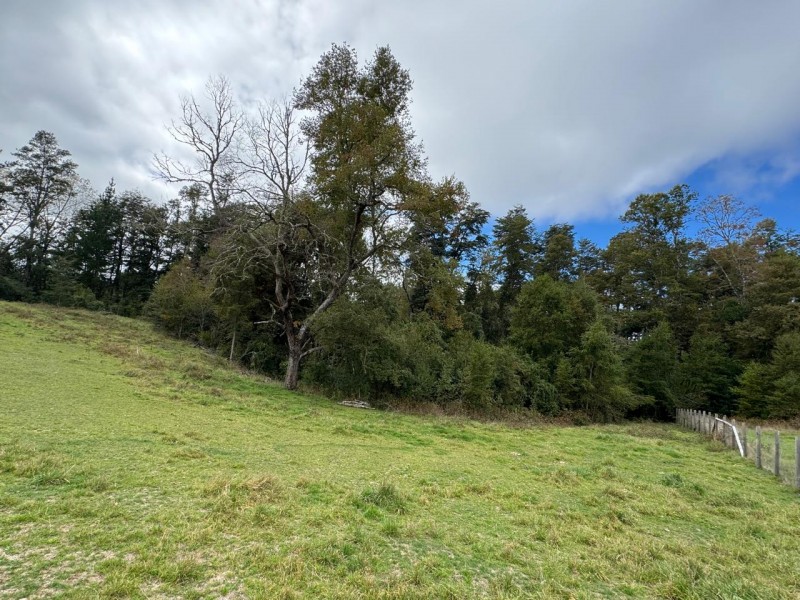 Parcela A 10 Minutos de Villarrica Con Electricidad y Agua.