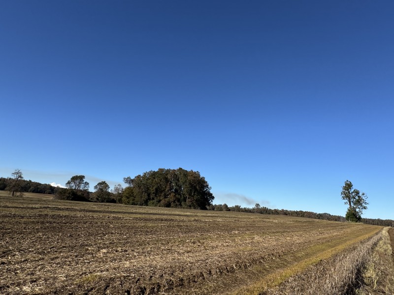 61 Hectáreas 25 Km. de Temuco Sector Huichahue San Ramón
